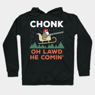 Oh Lawd He Comin Chonk Christmas Cat Santa Hoodie